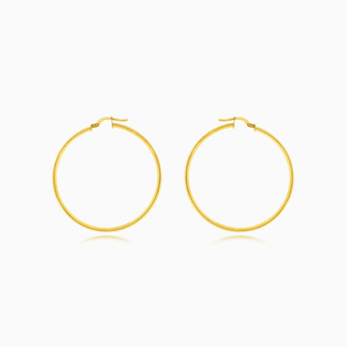 Strahlende Creolen mit französischem Verschluss