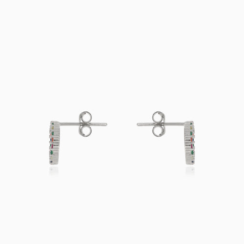 Silver earrings multicolor circle