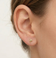 Yellow gold sea dolphin stud earrings