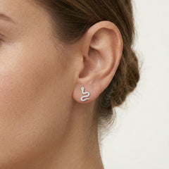 Clous serpent en argent