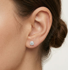 Classic four-prong solitaire earrings