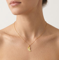 Ala de oro con detalles