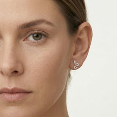 Clous serpent en argent