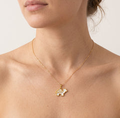 Gold Schildkröte mit Perlmutt