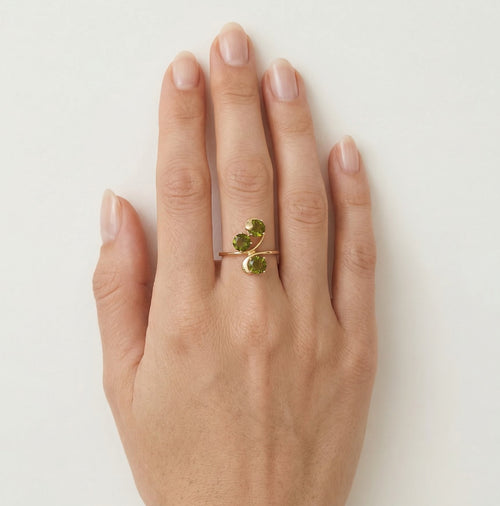 Weinreben-Eleganz-Ring