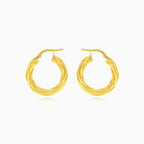 Schicke Creolen mit drehendem Design