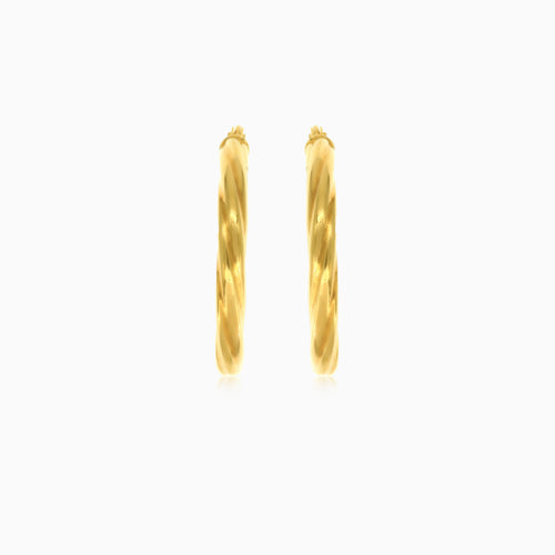 Gedrehte Röhren-Creolen aus Gelbgold