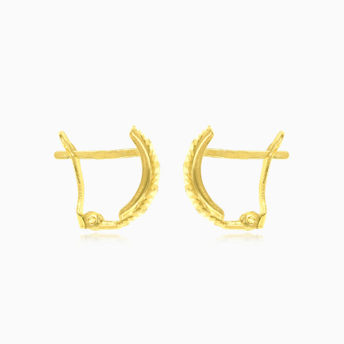 hochglanzpolierte Goldohrringe