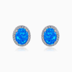 Ovale blaue Opalohrringe