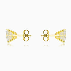 Zlaté pecky osazený v 6 krapnách