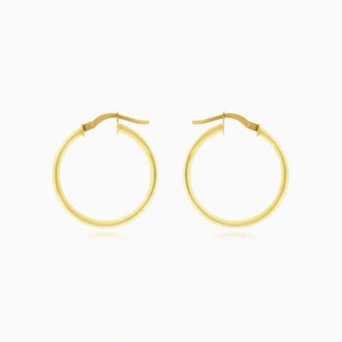 Polierte Eleganz Französischer Verschluss Creolen