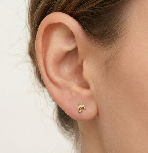 Gelbgold-Ohrstecker mit Meeresdelfin-Motiv