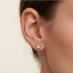 Lustrous yellow gold flower with cubic zirconia earrings