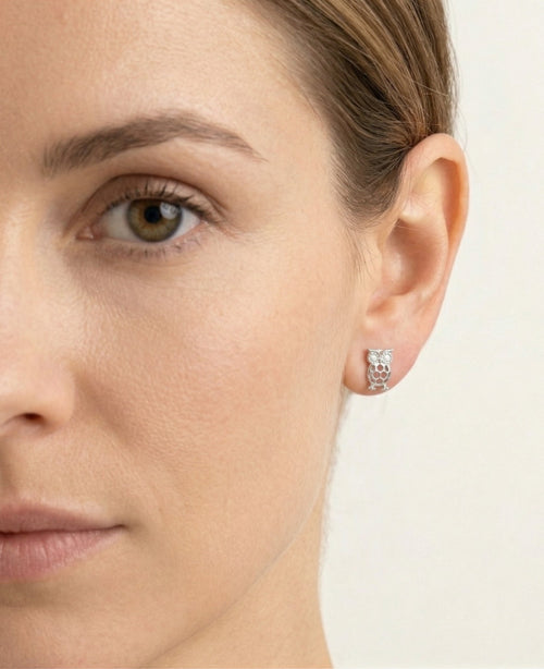 Boucles d’oreilles clous en or blanc avec zircon cubique hibou