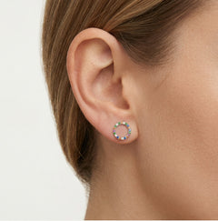 Silver earrings multicolor circle