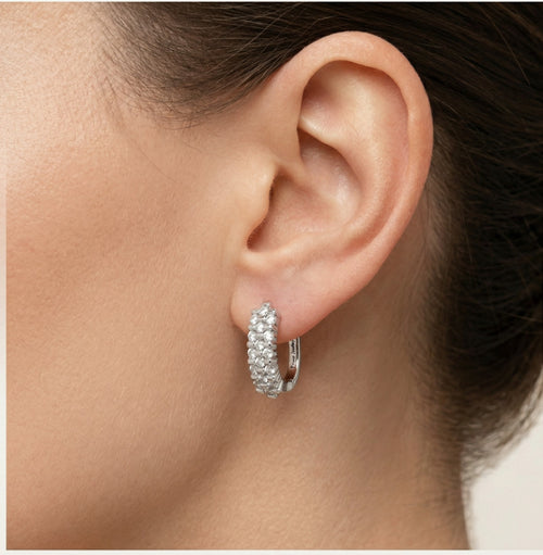 Pendientes con cierre de bisagra Royal