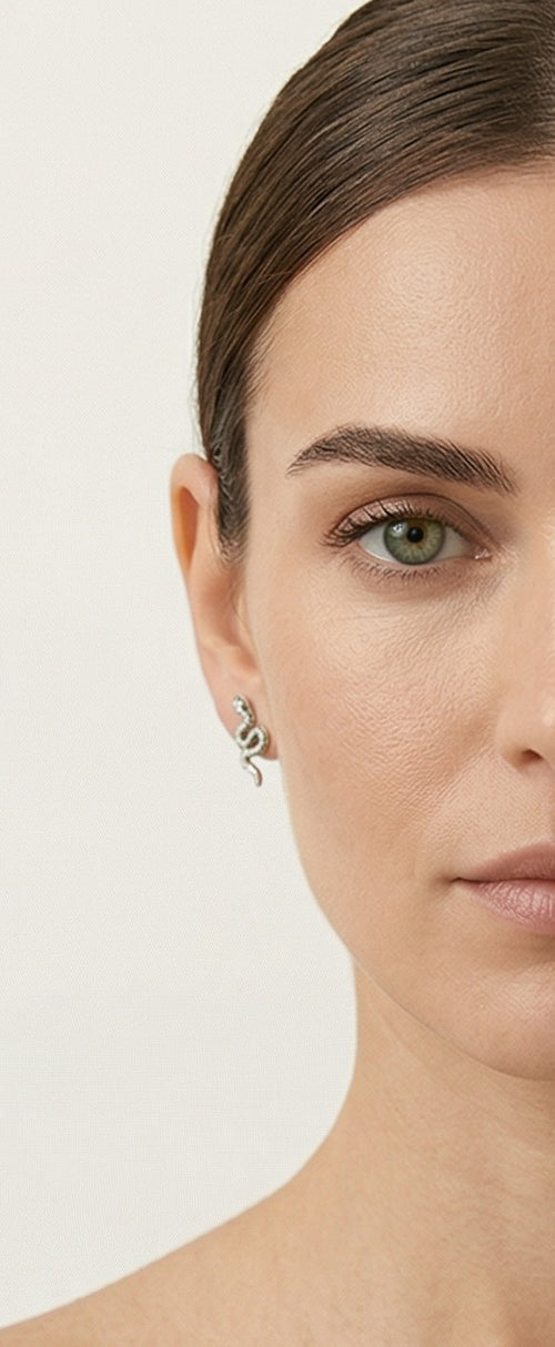 Stříbrné hadí náušnice s čirými a černými zirkony