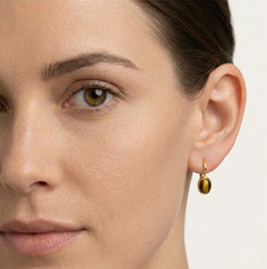 Oval tiger's eye gold earrings
