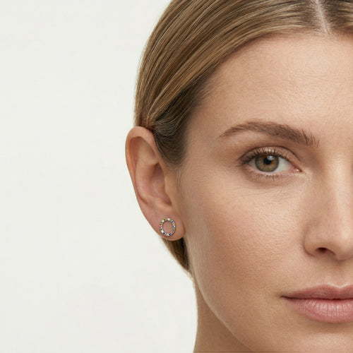 Silver earrings multicolor circle