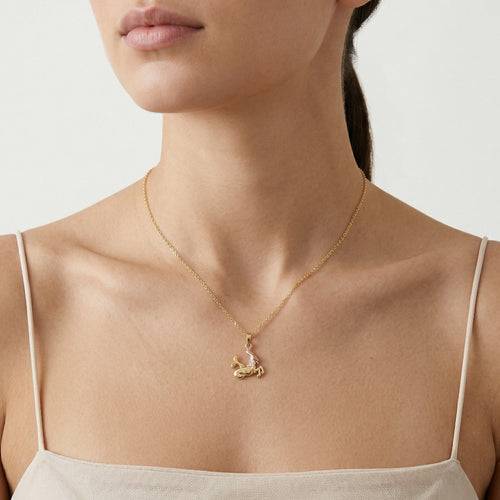 Zlatý přívěsek znamení kozoroha