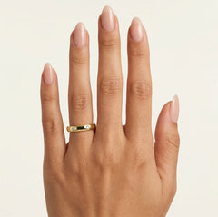 Ewiger Zirkonia-Bandring