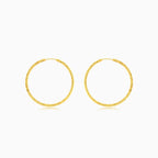 hochglanzpolierte Creolen aus Gold